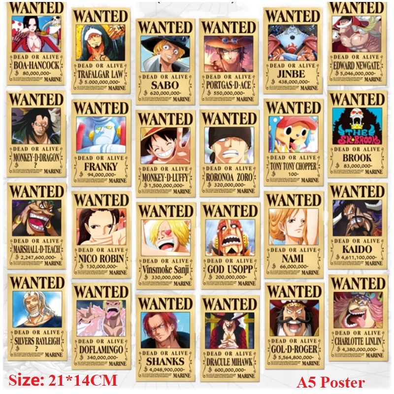 One Piece Wanted Poster - Dracule Mihawk
