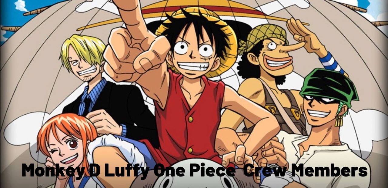 one piece luffy crew